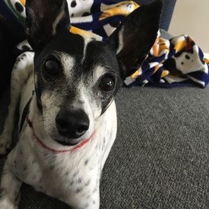 Meet your Posher, Debi